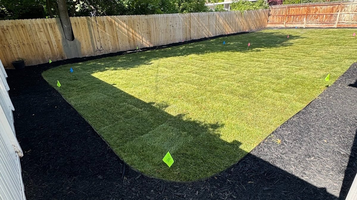 Freshly sodded backyard in West Jordan, Utah, with lush green grass, a neat black mulch border, wooden fence, and colored flags marking spots on the lawn—perfectly showcasing professional landscape design services.