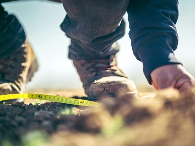 The Risks of DIY Landscaping