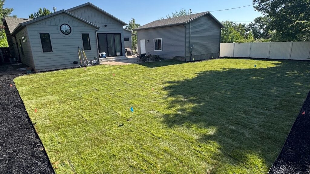 Backyard with newly laid sod, small colored flags marking areas, two gray houses, black mulch borders, and a white fence in the background.