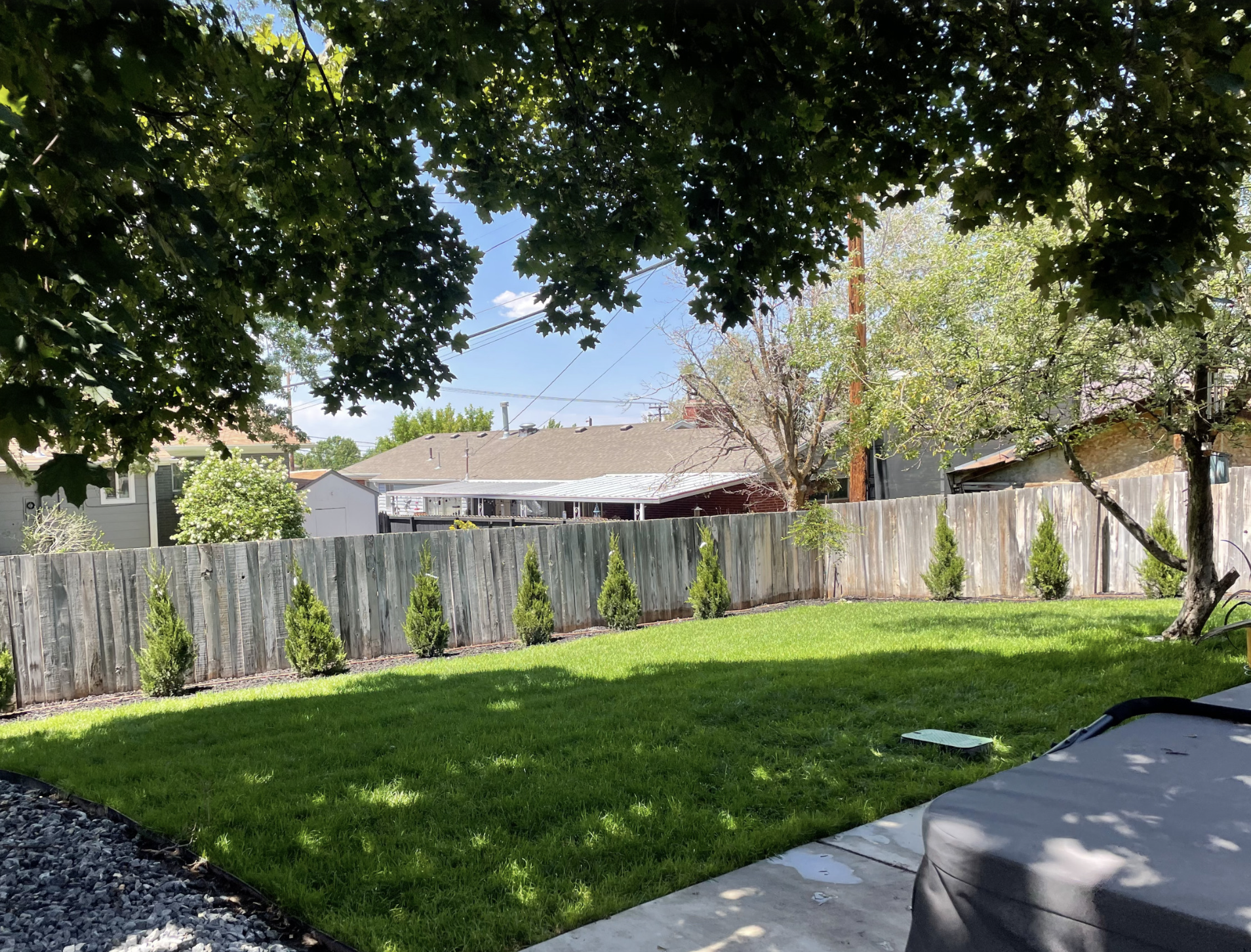 A fenced backyard with green grass, small evergreen trees along the fence, and a concrete patio partially shaded by large tree branches showcases the quality of our Landscaping Services. Read Customer Reviews to learn about our clients' satisfaction.