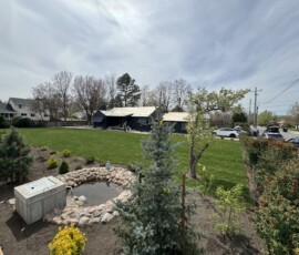 Water Feature, Grass, Sprinklers, Gardens, Trees, Plants