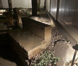 Backyard Rennovation